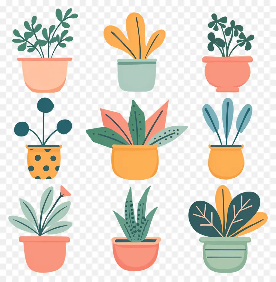 Fleurs En Pots，Plantes En Pot Colorées PNG