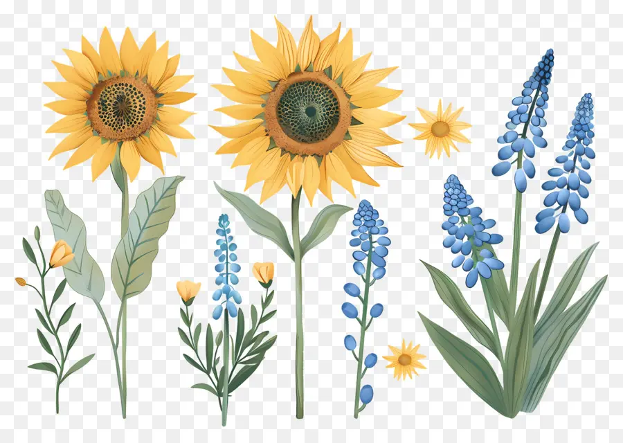 Bordure De Tournesols，Tournesols Et Fleurs Sauvages PNG