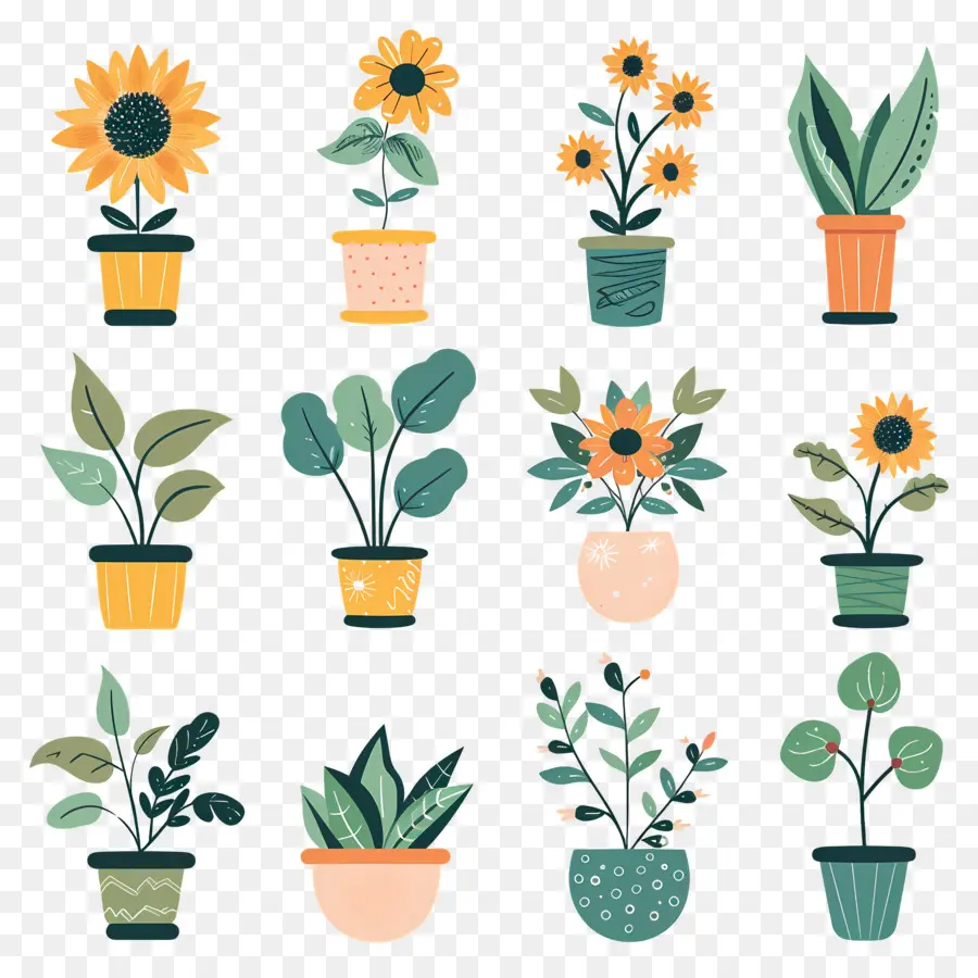 Plantes En Pot，Pots De Tournesol PNG