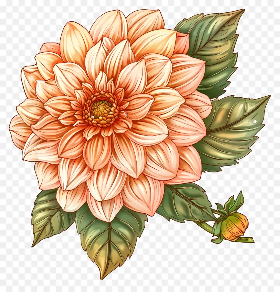 Fleur De Dahlia，Fleur D'oranger PNG