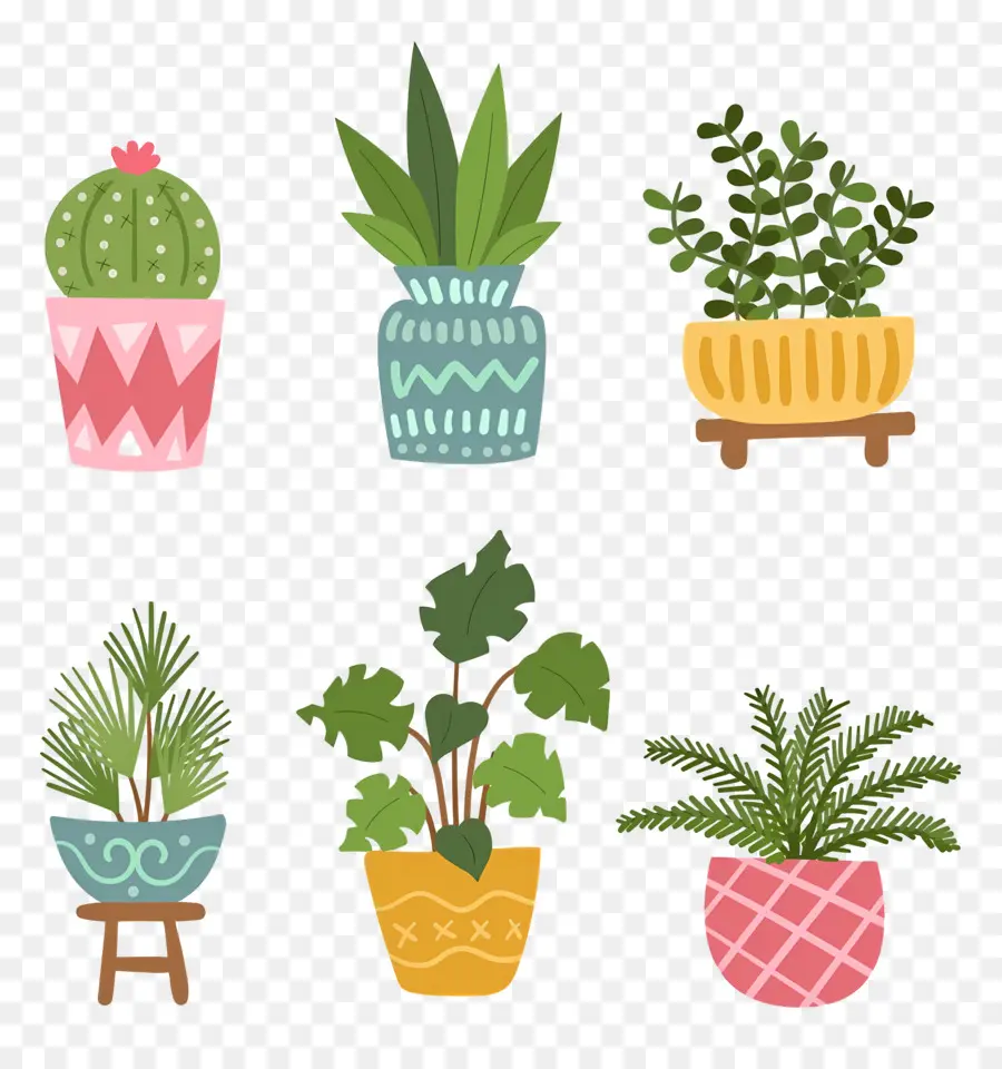 Fleurs En Pots，Plantes En Pot PNG