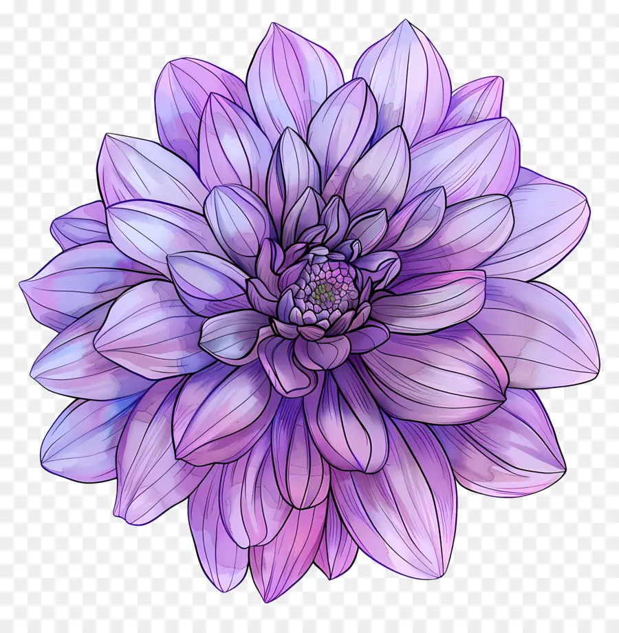 Fleur De Dahlia，Fleur Violette PNG