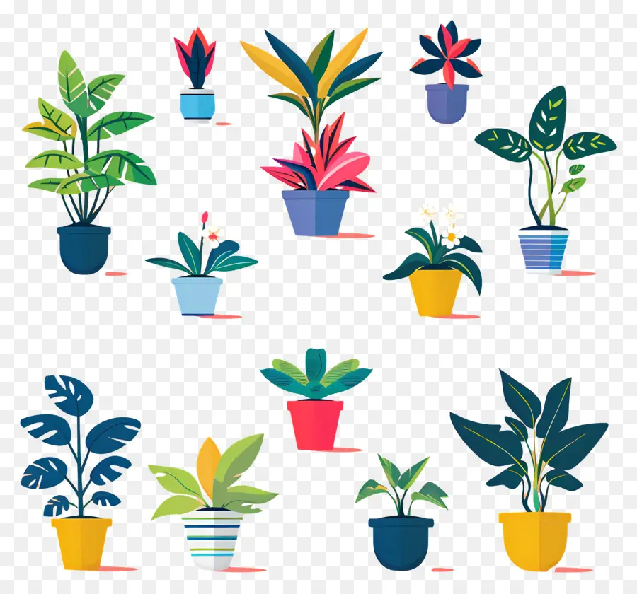 Fleurs En Pots，Plantes En Pot PNG