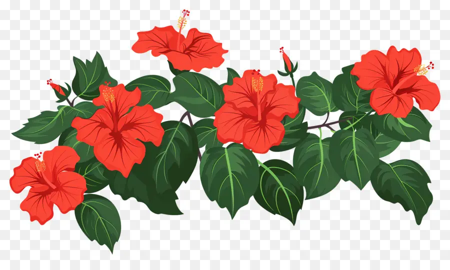 Buisson De Fleurs，Fleurs Rouges PNG