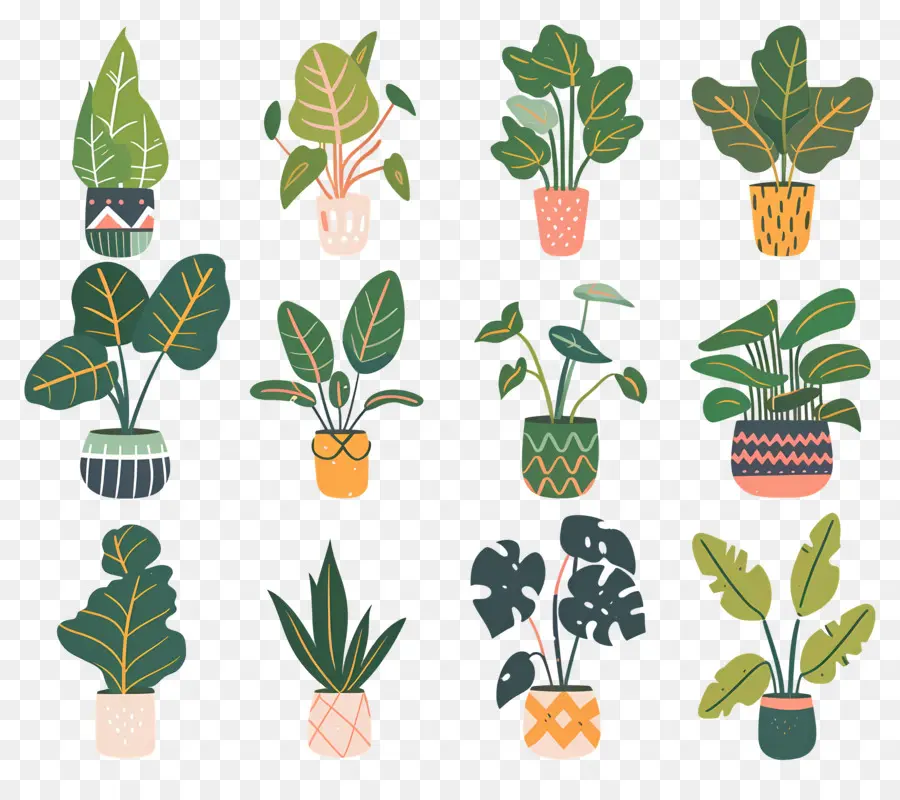 Fleurs En Pots，Plantes En Pot Jaunes PNG