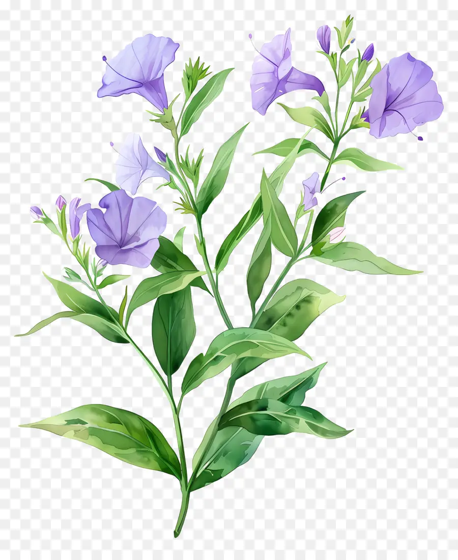 Fleurs Aquarelles，Fleurs Bleues PNG