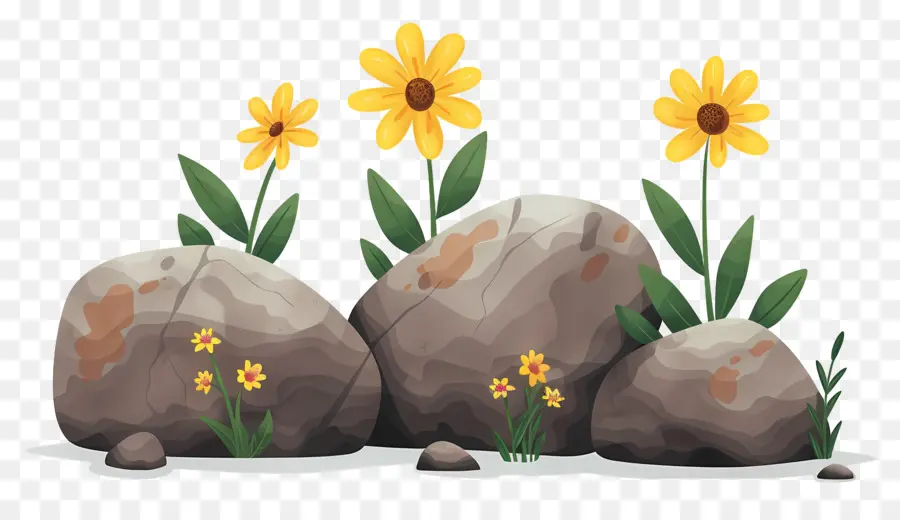 Rochers，Fleurs Jaunes PNG