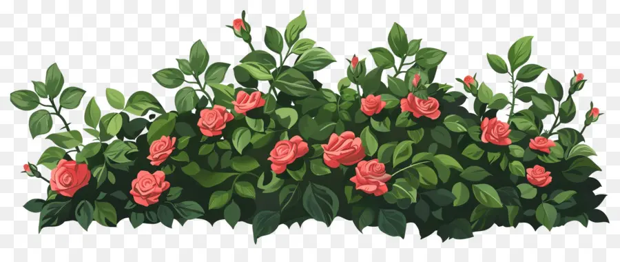 Rosier，Fleurs Rouges PNG