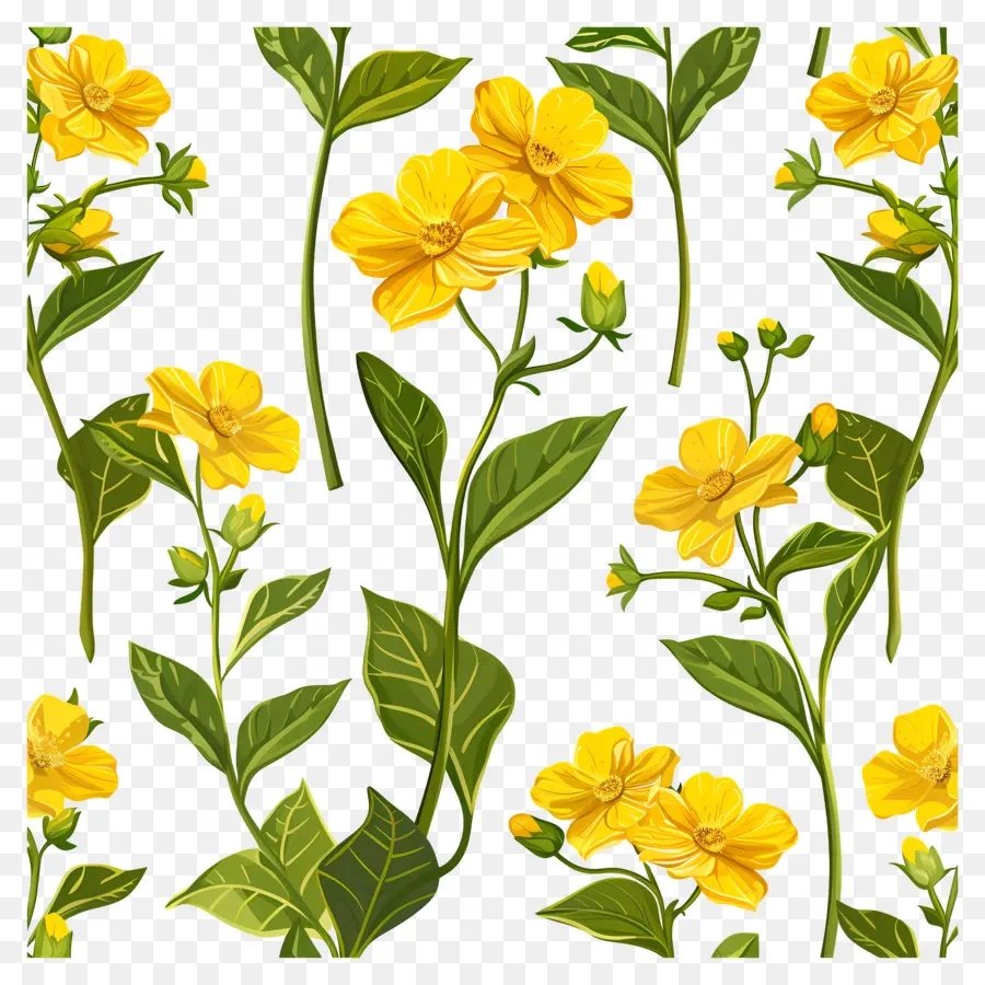 Fleurs De Colza，Fleurs Jaunes PNG