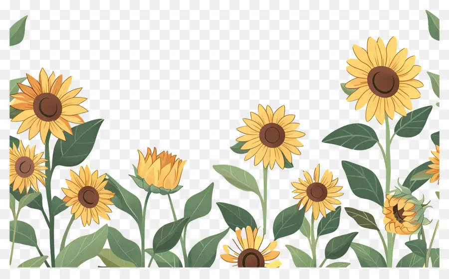 Bordure De Tournesols，Tournesols D'affilée PNG