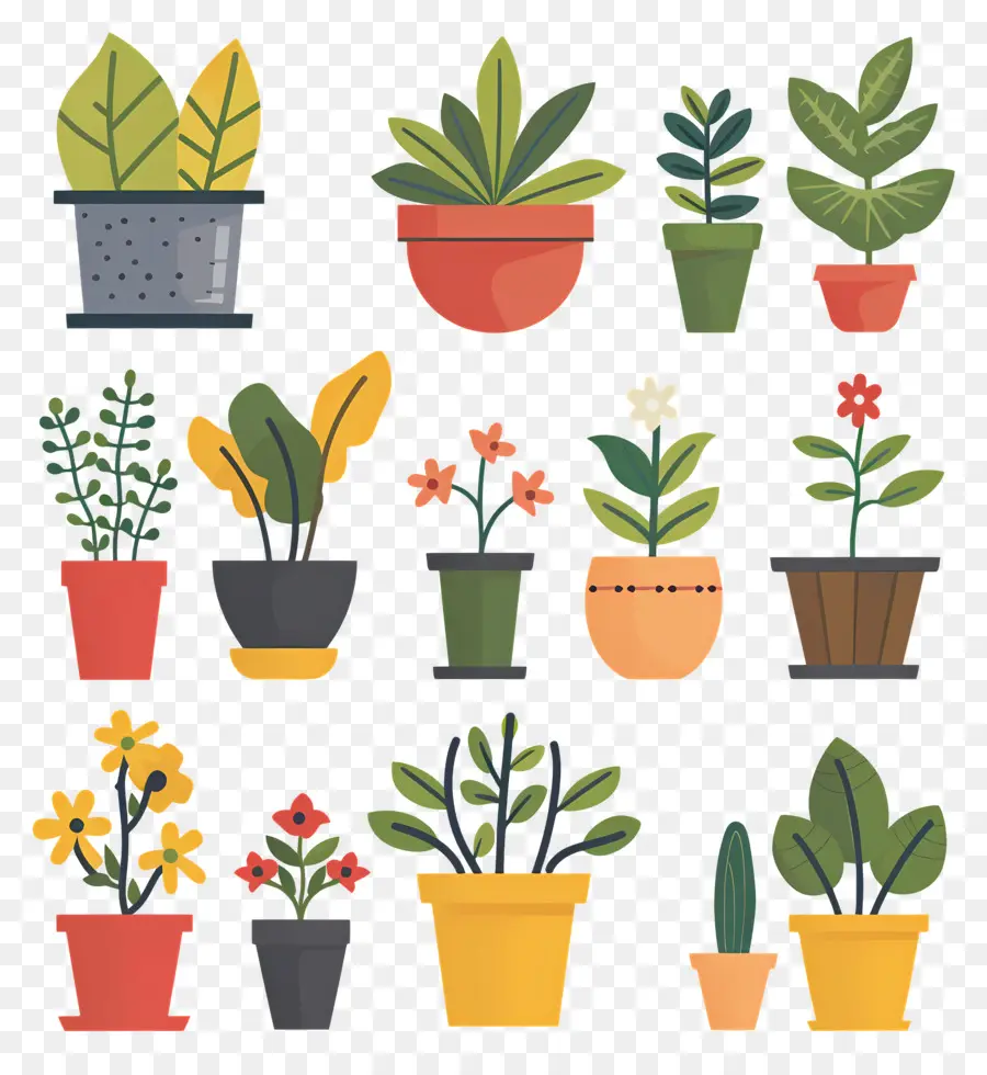 Fleurs En Pots，Plantes En Pot Jaunes PNG