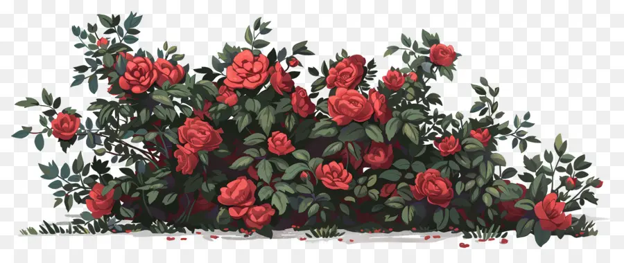 Rosier，Roses Rouges PNG