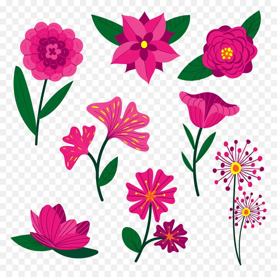 Fleurs Lumineuses，Fleurs PNG