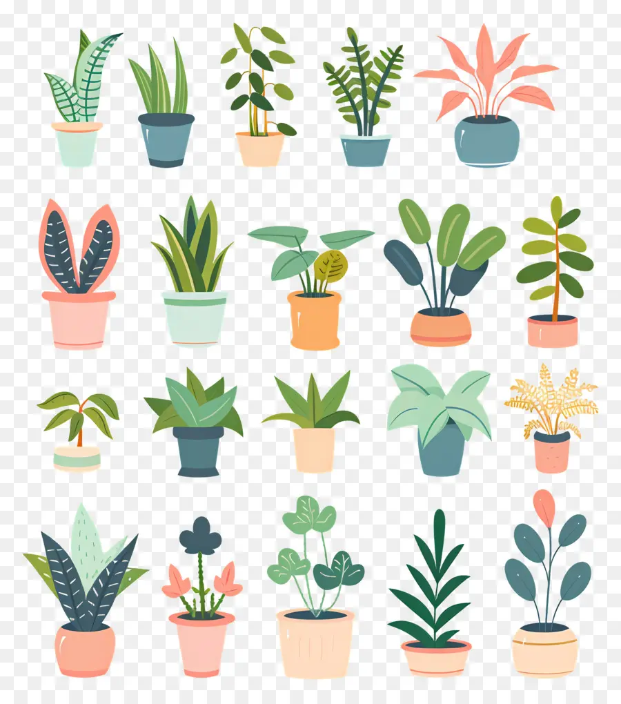 Fleurs En Pots，Plantes En Pot PNG