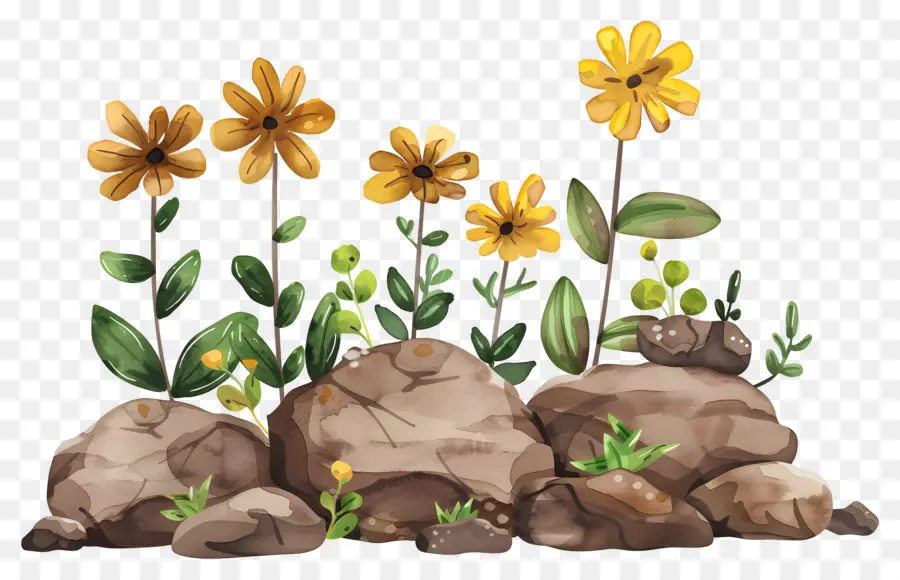 Rochers，Fleurs Jaunes PNG