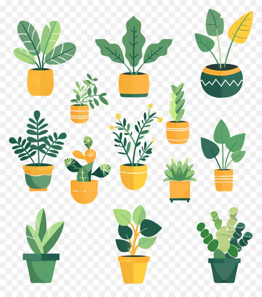 Fleurs En Pots，Plantes En Pot Jaunes PNG