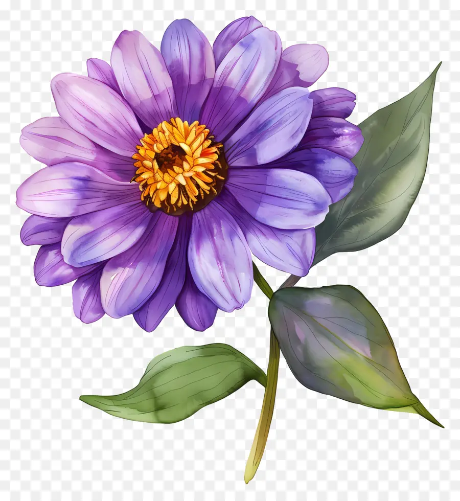 Fleur De Dahlia，Fleur PNG