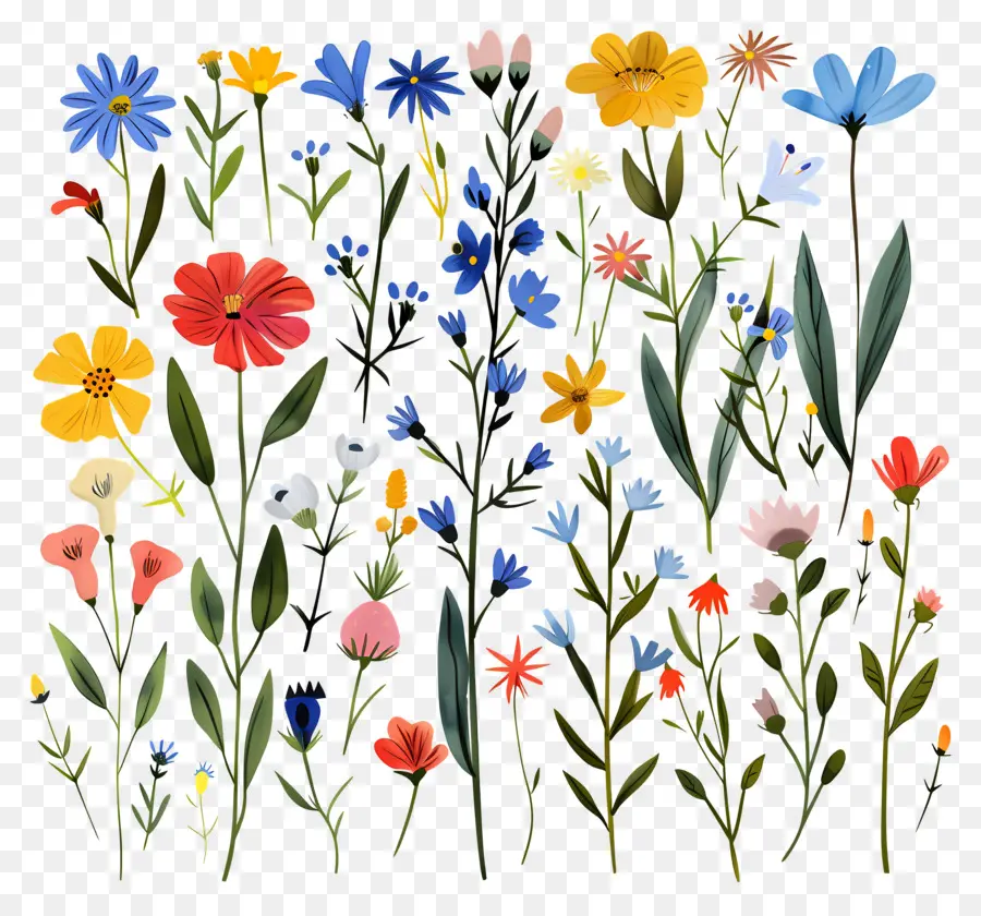 Fleur Sauvage，Composition Florale PNG