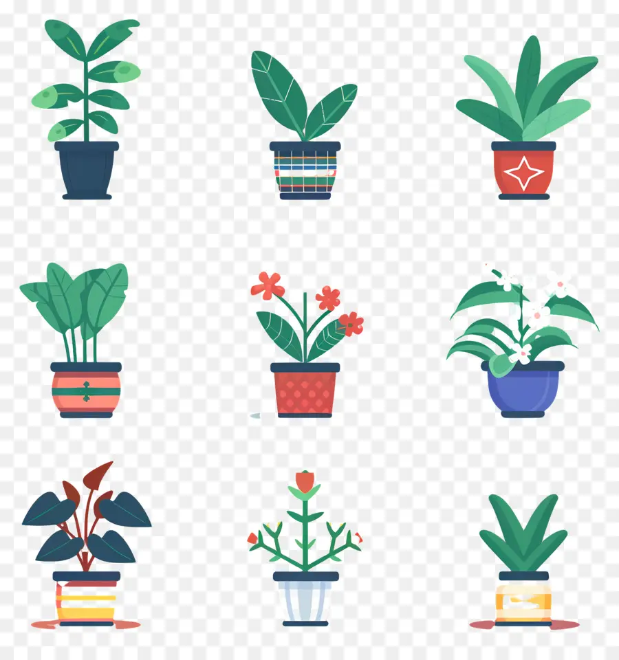 Fleurs En Pots，Plantes En Pot PNG