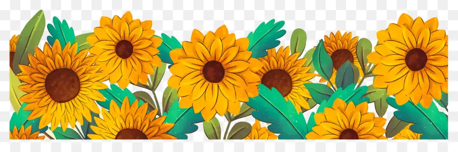 Bordure De Tournesols，Tournesols PNG