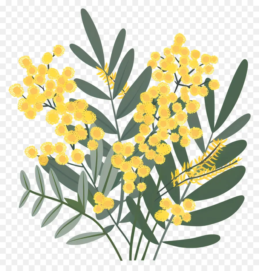 Petite Fleur，Fleurs Jaunes PNG