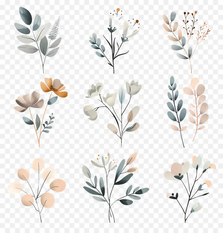 Fleurs Séchées，Feuilles D'aquarelle PNG