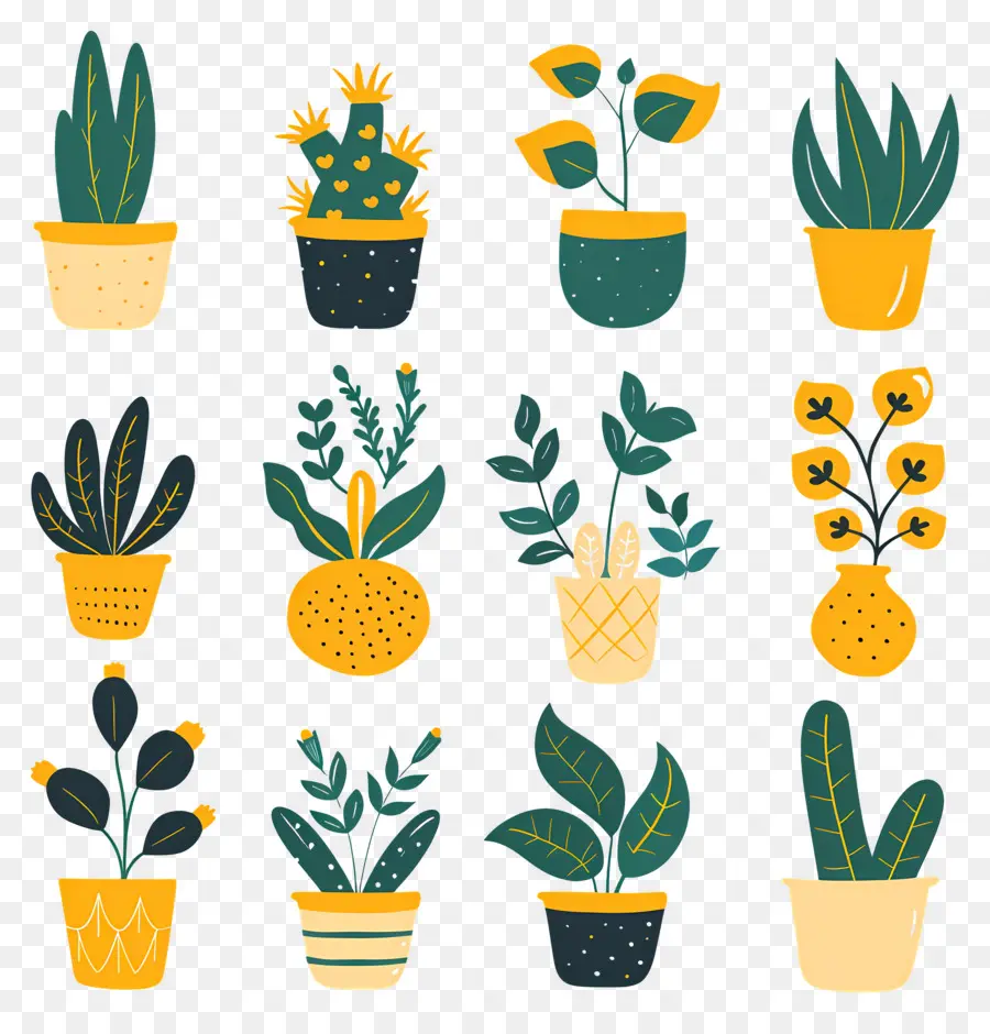 Fleurs En Pots，Plantes En Pot Colorées PNG