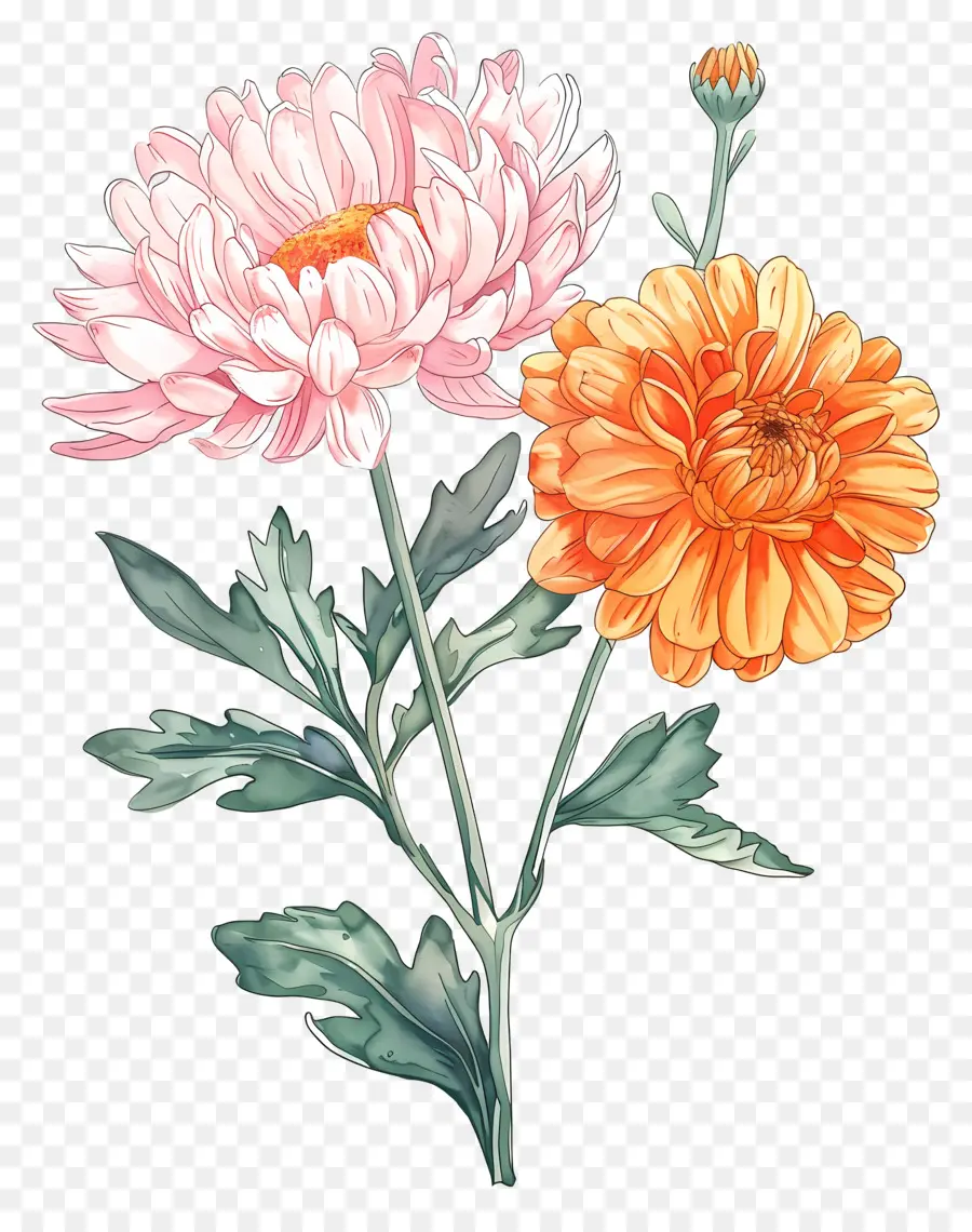 Fleurs Anciennes，Fleurs Roses Et Oranges PNG