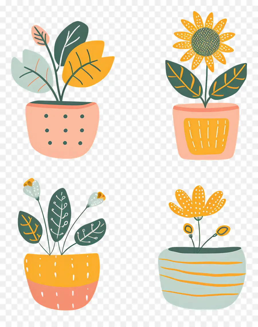 Plantes En Pot，Plantes En Pot Colorées PNG