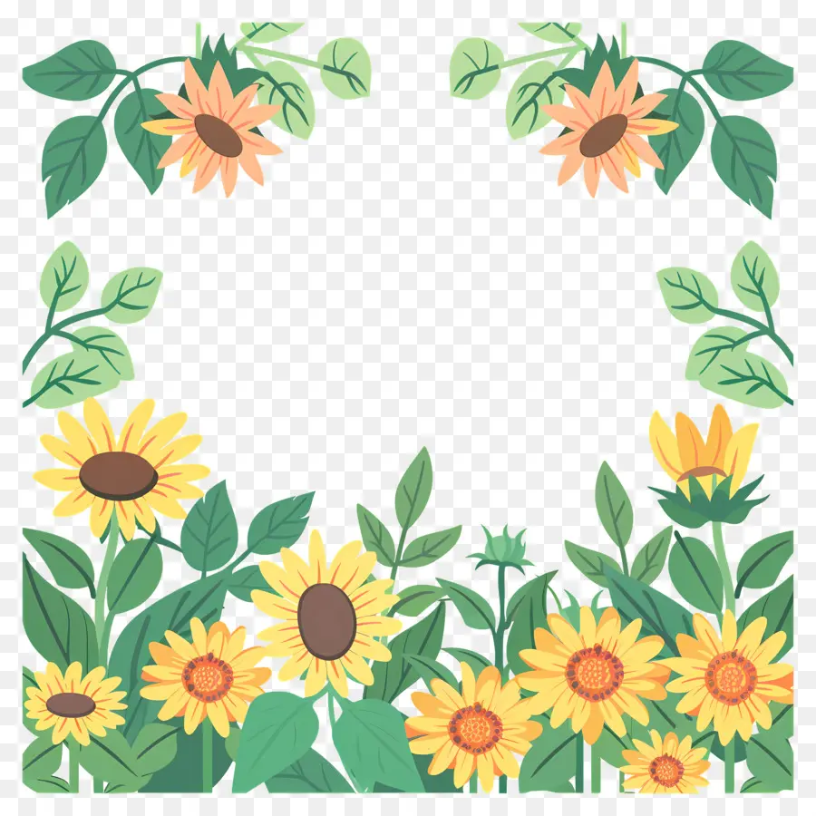 Cadre De Tournesols，Tournesols Et Marguerites PNG