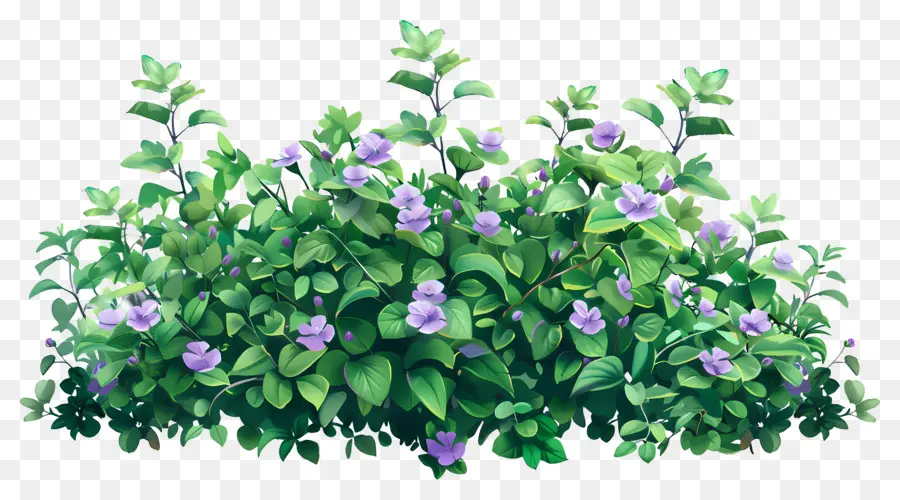 Buisson De Fleurs，Fleurs Violettes PNG