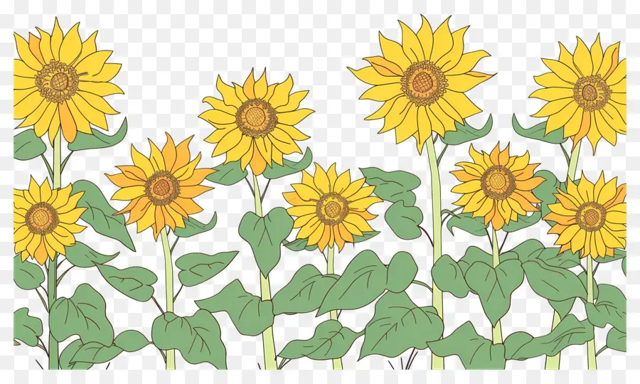 Bordure De Tournesols，Tournesols Et Fleurs Sauvages PNG