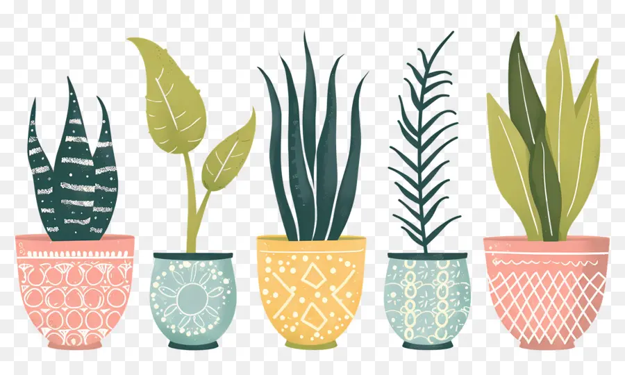 Fleurs En Pots，Plantes En Pot à Motifs PNG