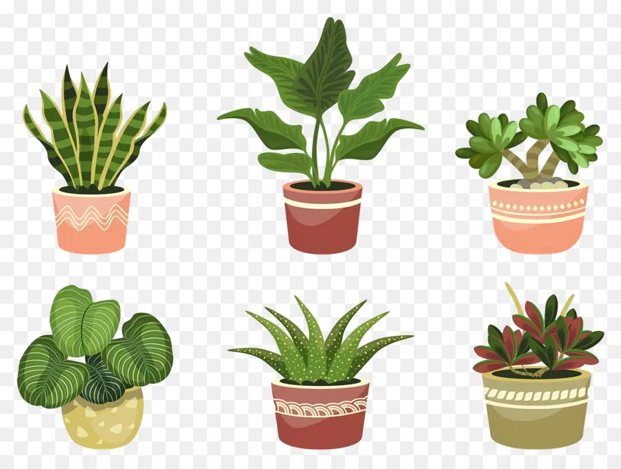 Fleurs En Pots，Plantes En Pot PNG