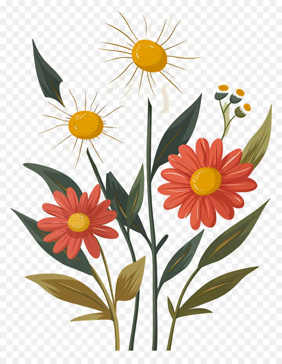 Fleurs De Marguerite，Marguerites Artistiques PNG