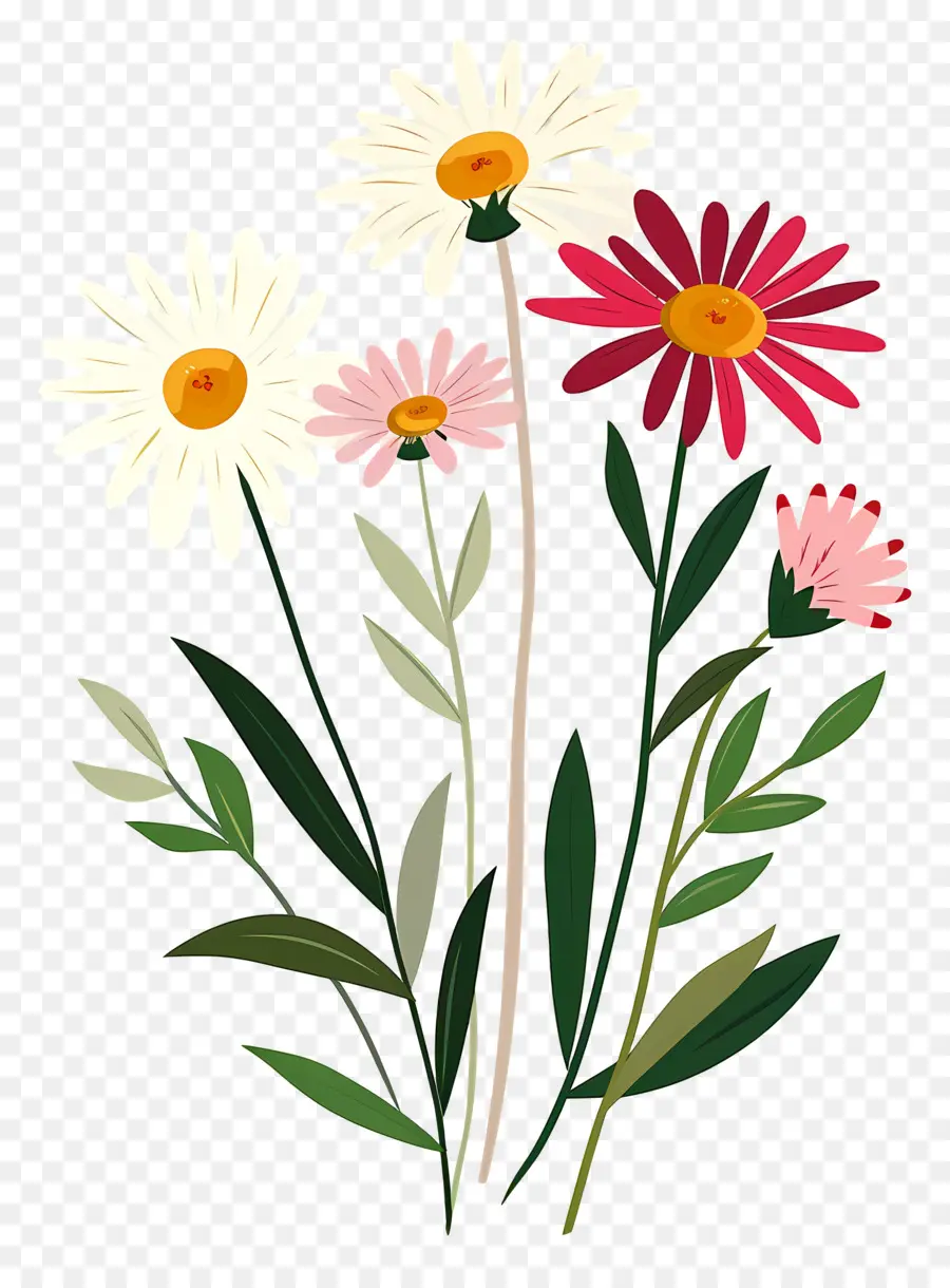 Fleurs De Marguerite，Marguerites Artistiques PNG