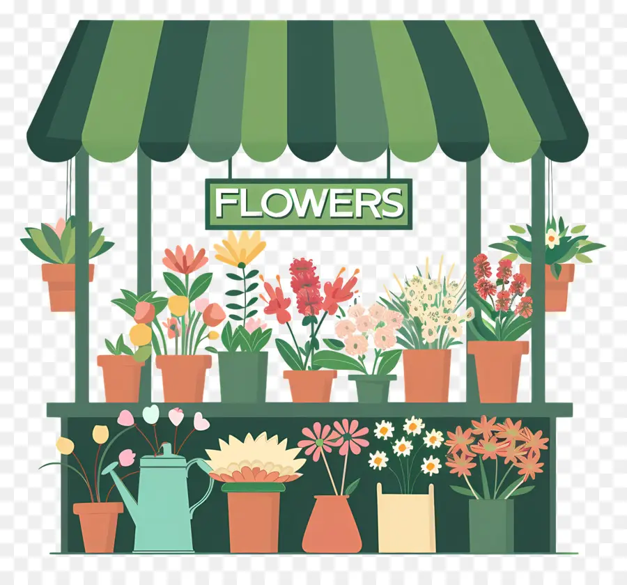 Fleuriste，Plantes PNG