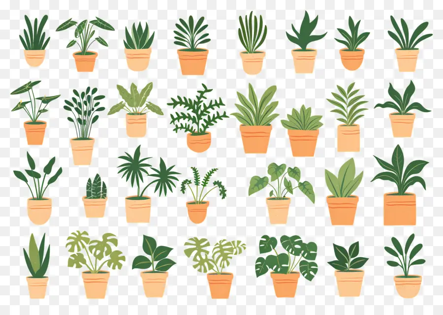 Fleurs En Pots，Plusieurs Plantes En Pot PNG