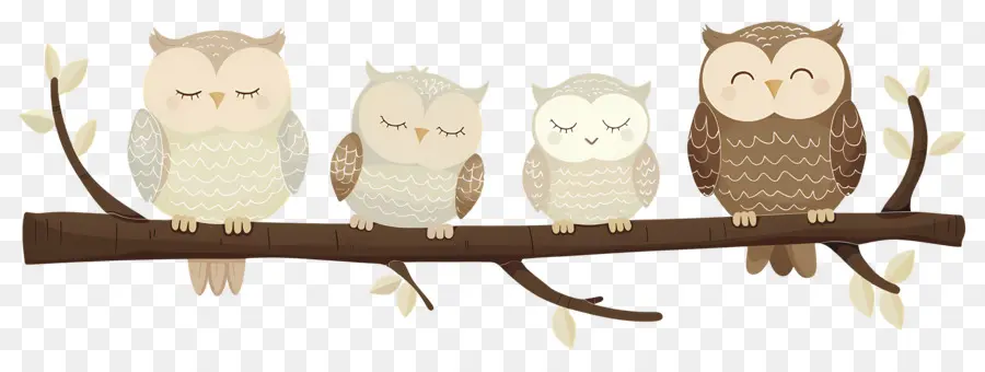 Chouettes Mignonnes，Chouettes Endormies PNG