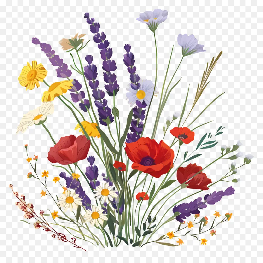 Fleur Sauvage，Bouquet De Fleurs Vibrantes PNG