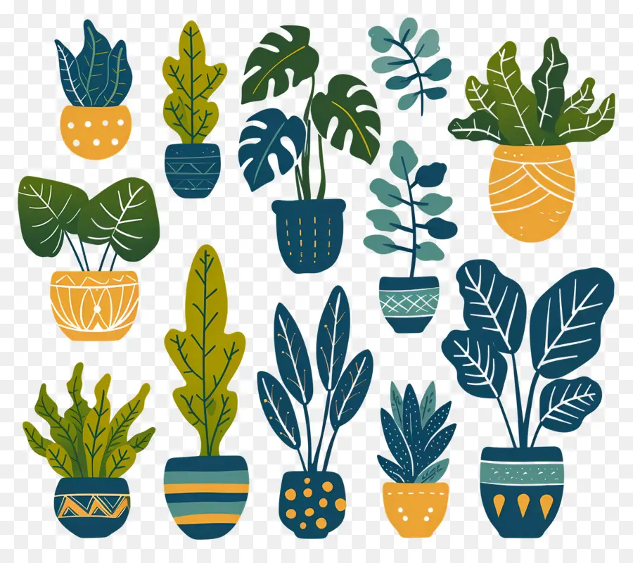 Fleurs En Pots，Plantes En Pot Jaunes PNG