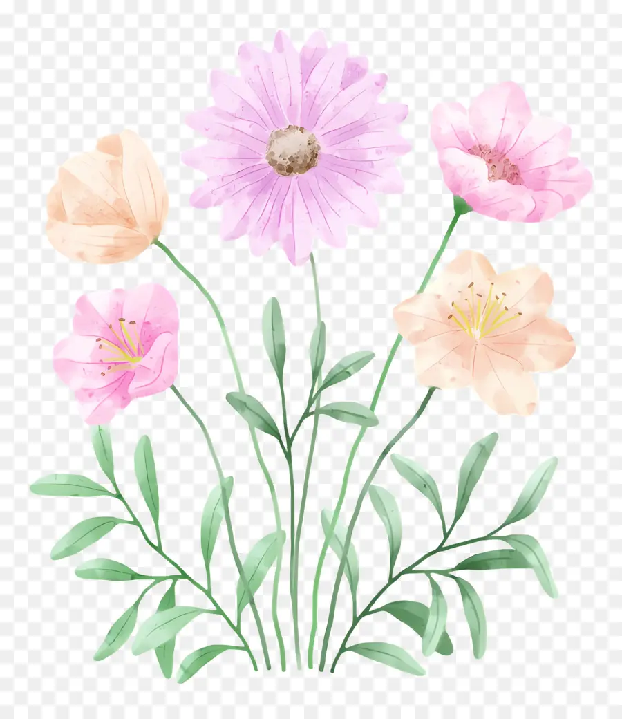 Fleurs Aquarelles，Fleurs PNG