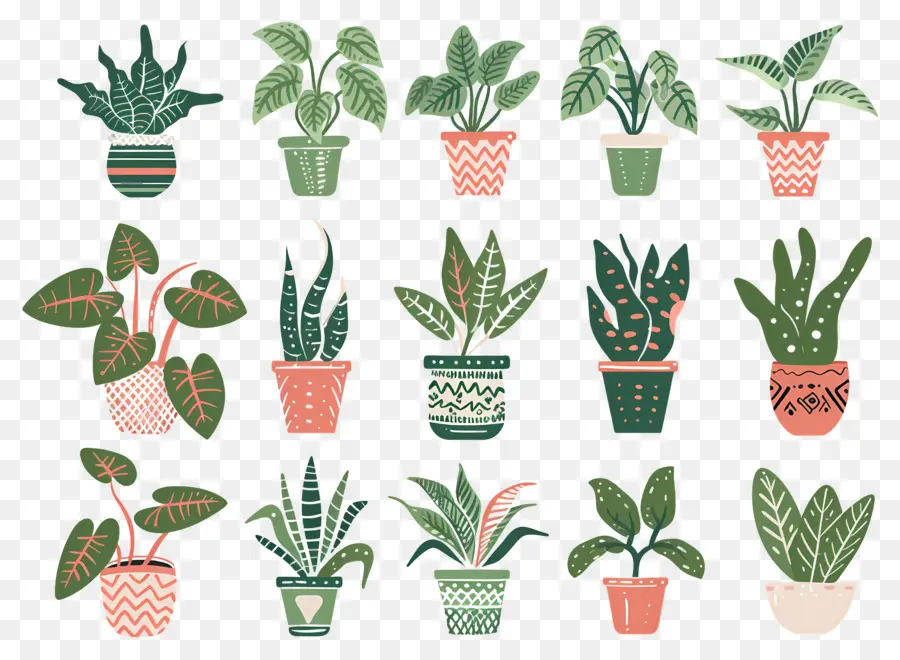 Fleurs En Pots，Plantes En Pot à Motifs PNG