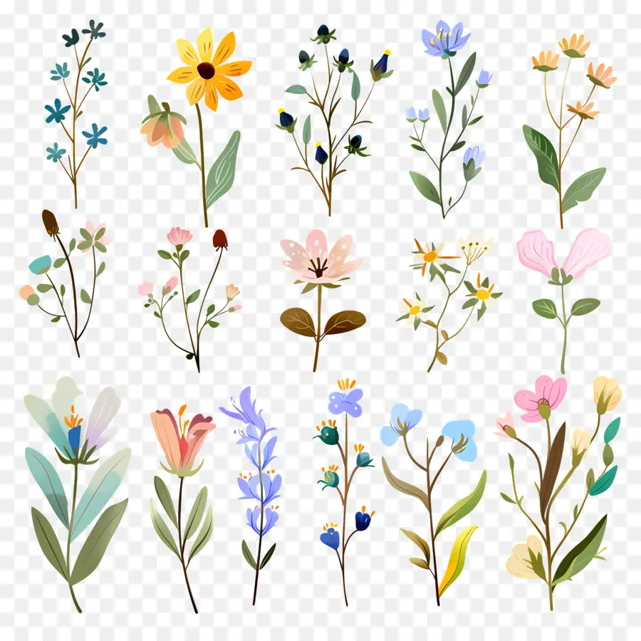 Fleur Sauvage，Diverses Plantes PNG