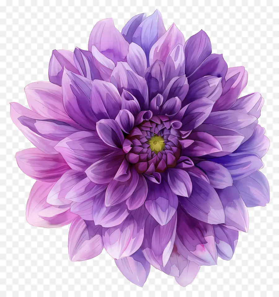 Fleur De Dahlia，Fleur Violette PNG