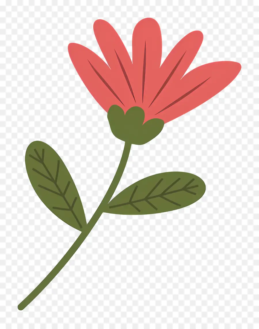 Fleur Unique，Fleurs Roses PNG