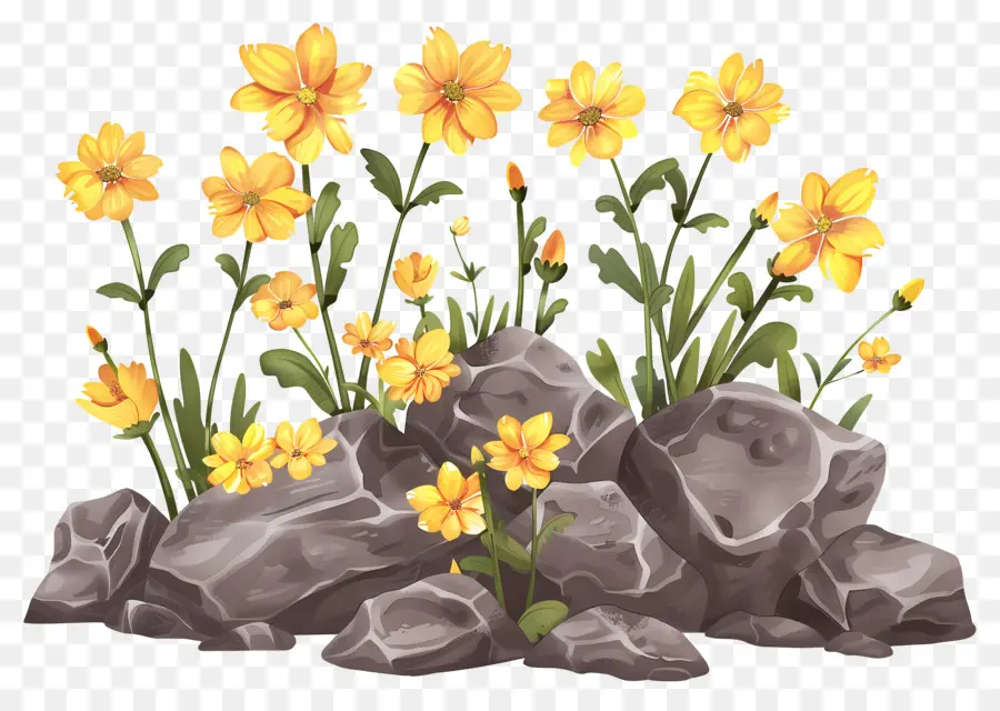 Rochers，Fleurs Jaunes PNG