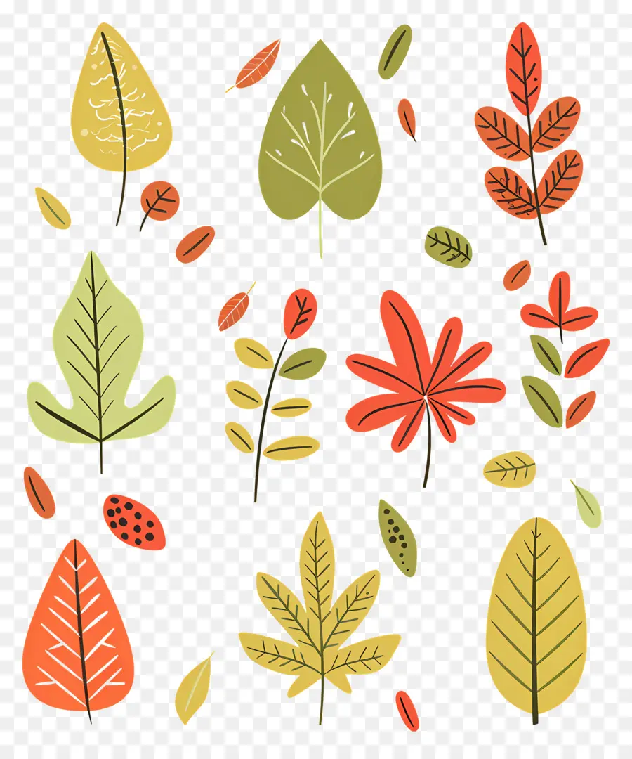 Fleurs Séchées，Feuilles D'automne PNG