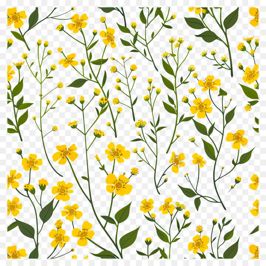 Fleurs De Colza，Fleurs Jaunes PNG