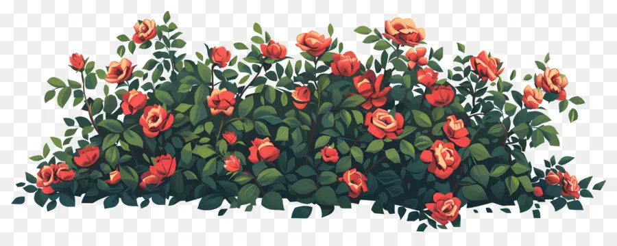 Rosier，Roses PNG